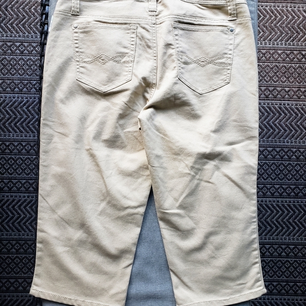 Baccini Capri's Tan Mid Rise Stretch With Pockets Size 12 - Picture 9 of 13